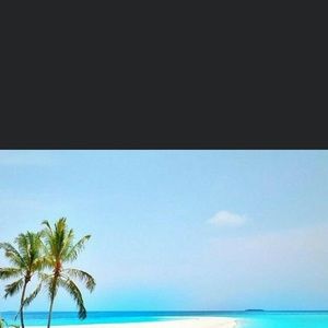 Meet your Posher, Carla